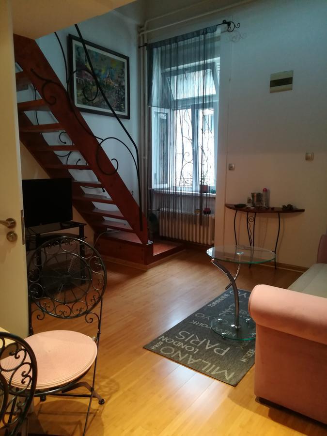 Apartman Galerija 노비사드 외부 사진