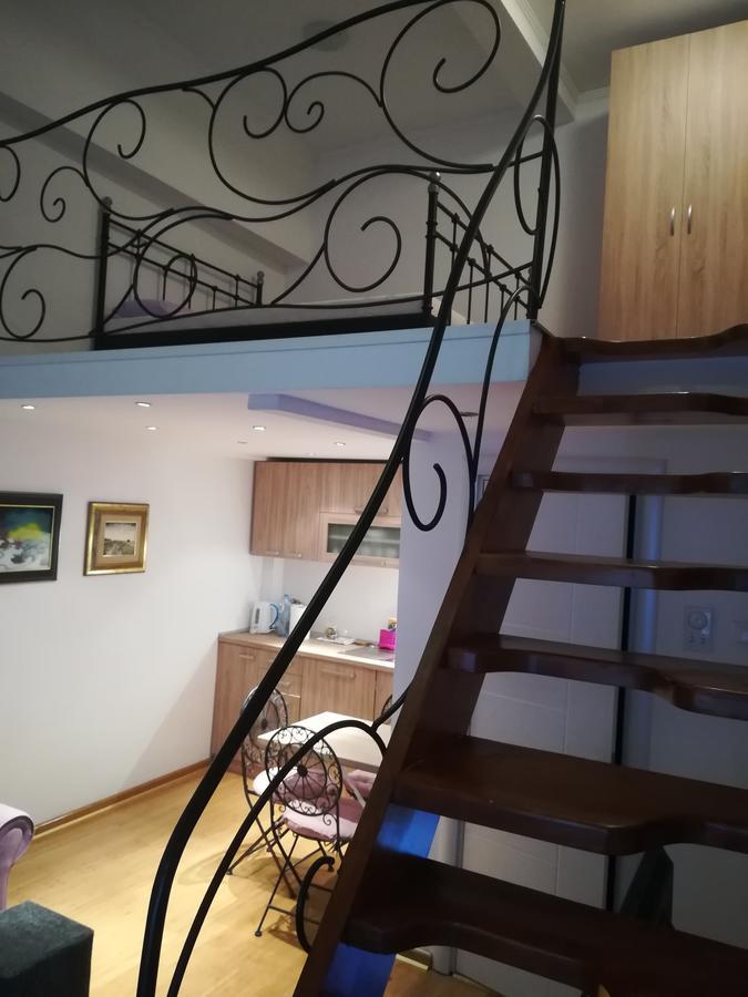 Apartman Galerija 노비사드 외부 사진