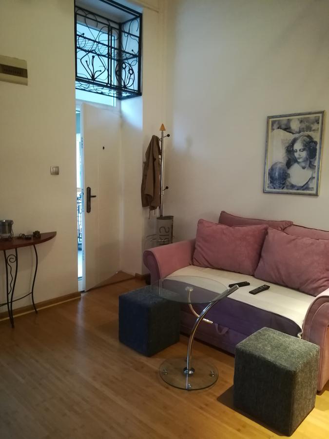 Apartman Galerija 노비사드 외부 사진