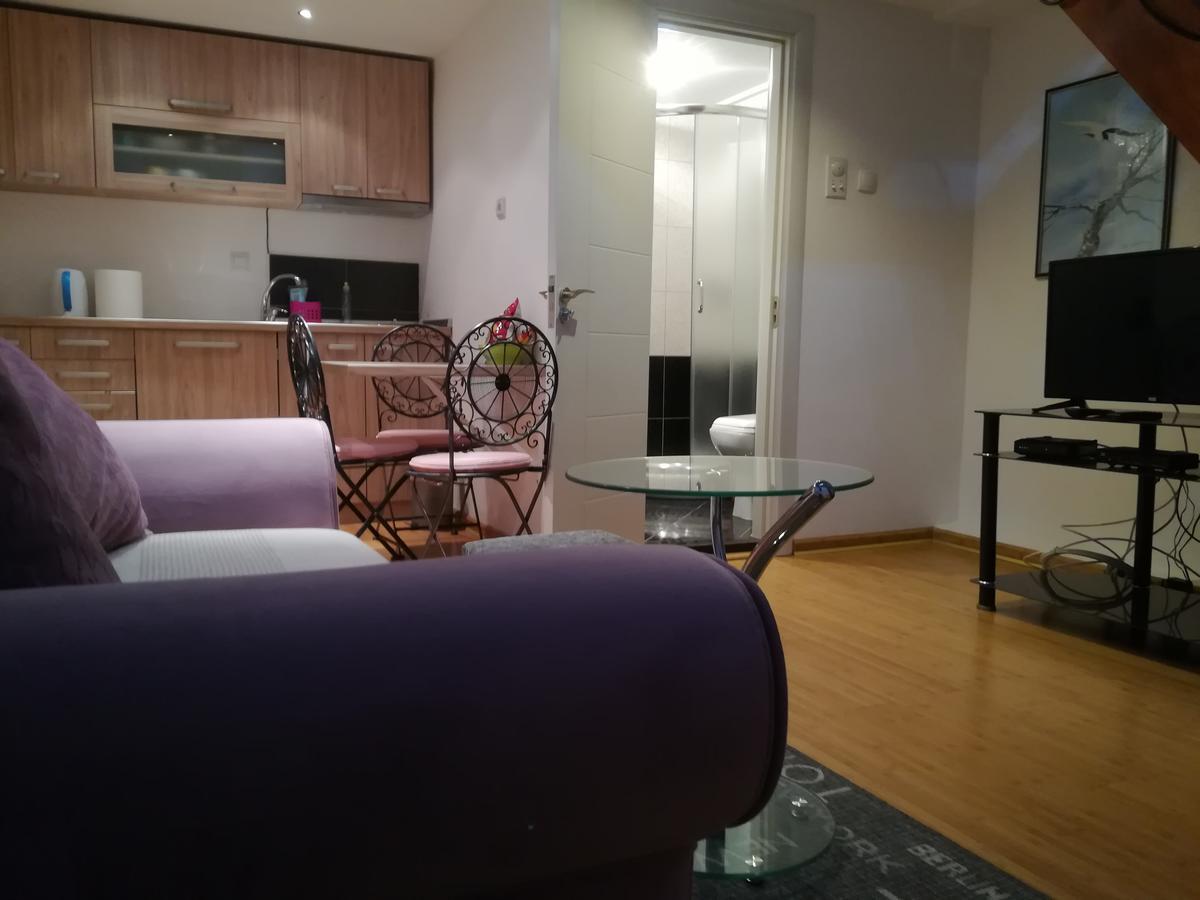 Apartman Galerija 노비사드 외부 사진