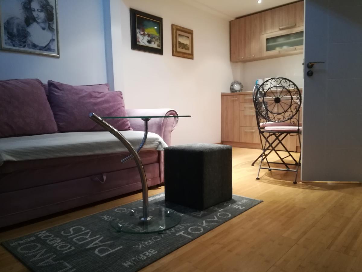 Apartman Galerija 노비사드 외부 사진